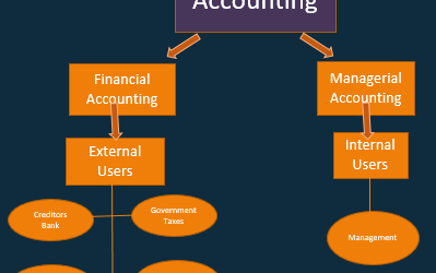 Categories of Accounting – Financial Accounting & Managerial Accounting